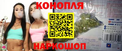 гашик Ирбит