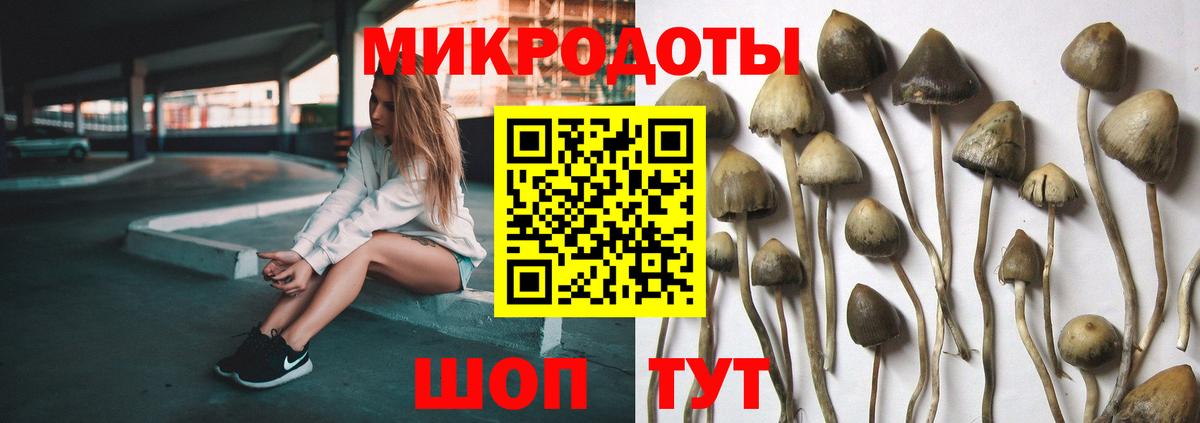 Псилоцибиновые грибы MAGIC MUSHROOMS Магнитогорск